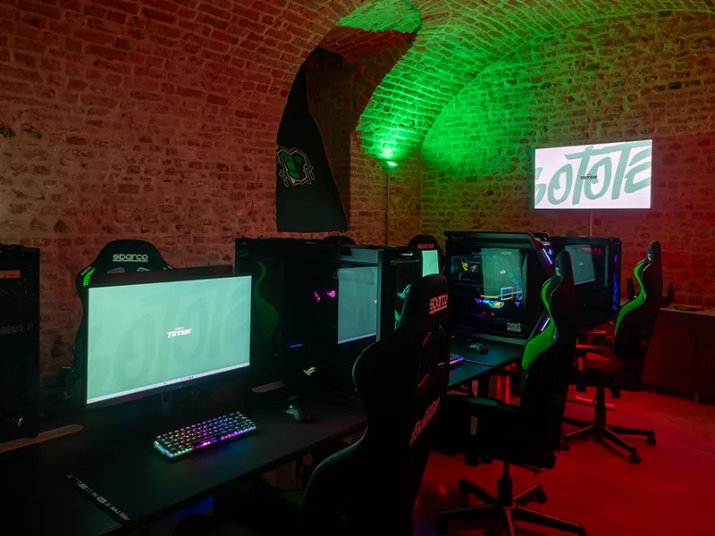 Professional Gaming Stations